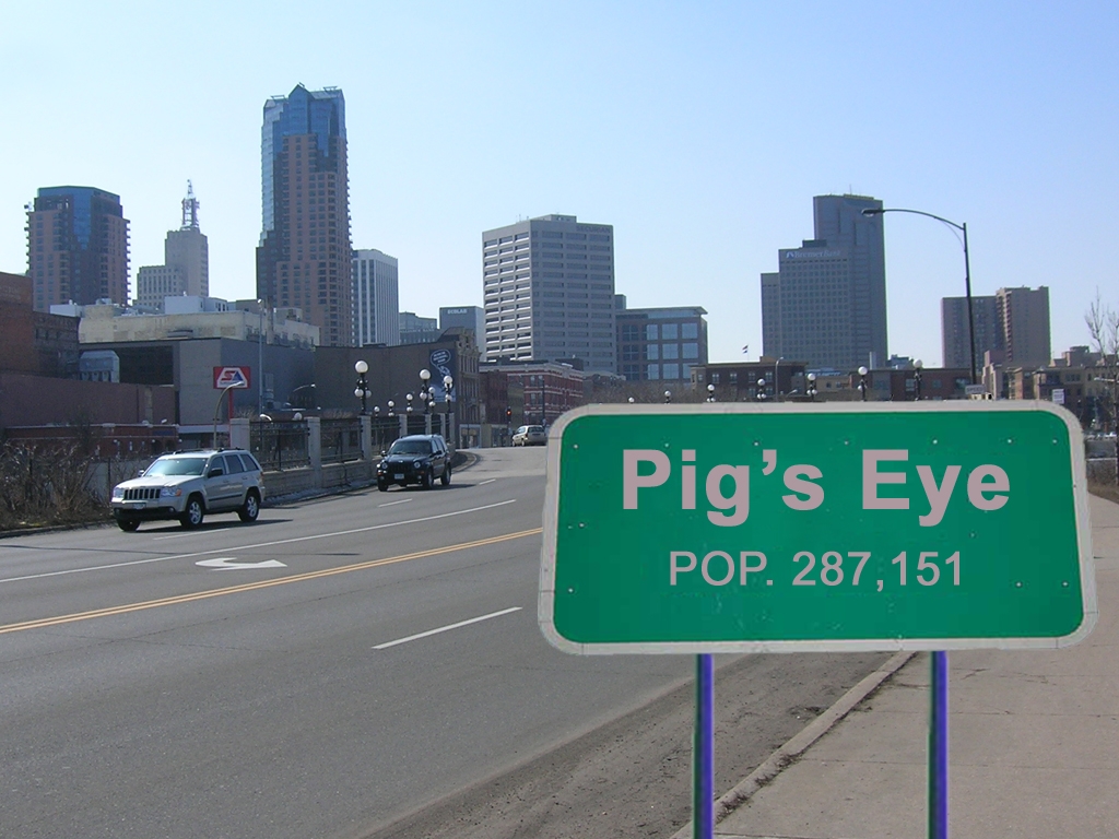 pigs_eye.article.jpg